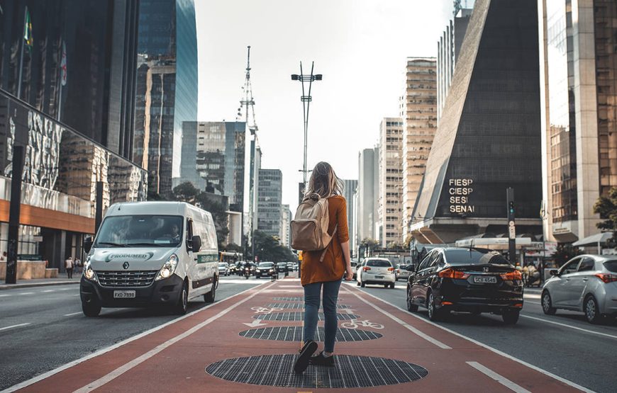 Hollywood Sign Small Group Tour in Luxury Van